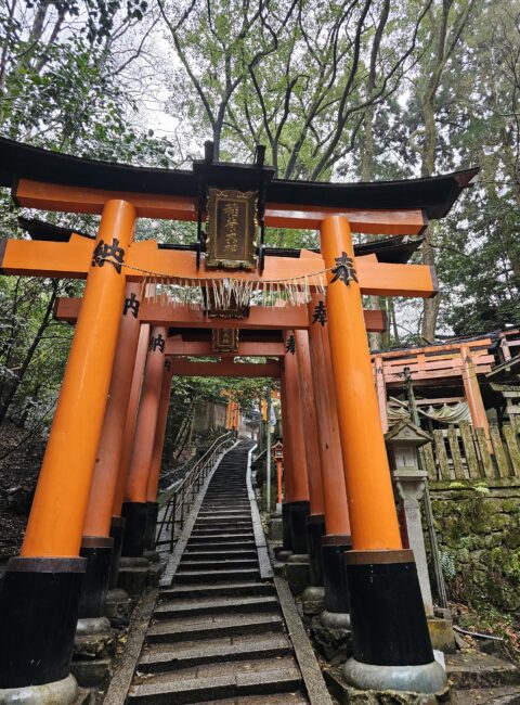 Torii gates at Fushimi Inari Taisha in Kyoto