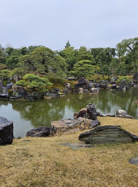 Garden of Nijo Castle in Kyoto